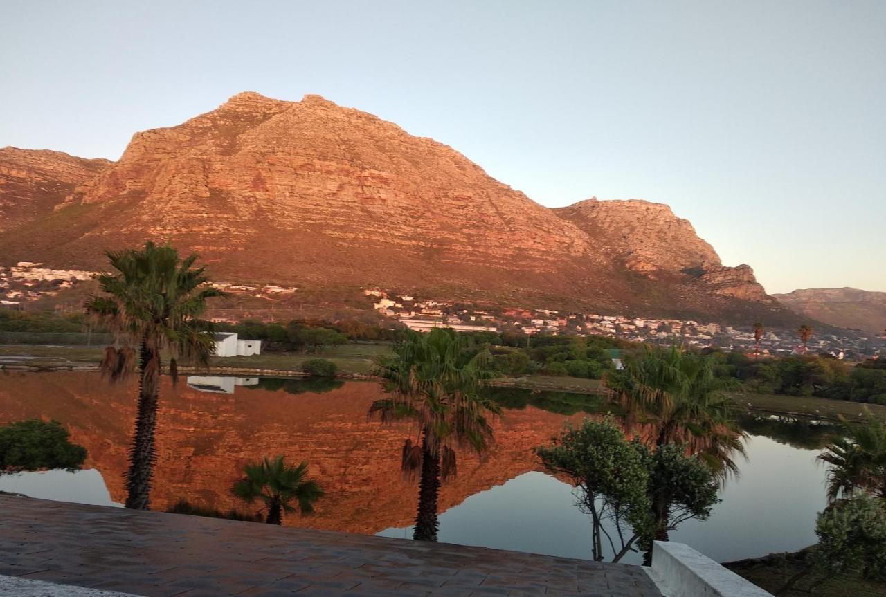 Vlei Cove Guesthouse كيب تاون المظهر الخارجي الصورة