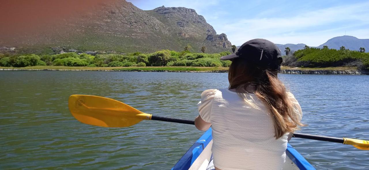 Vlei Cove Guesthouse كيب تاون المظهر الخارجي الصورة