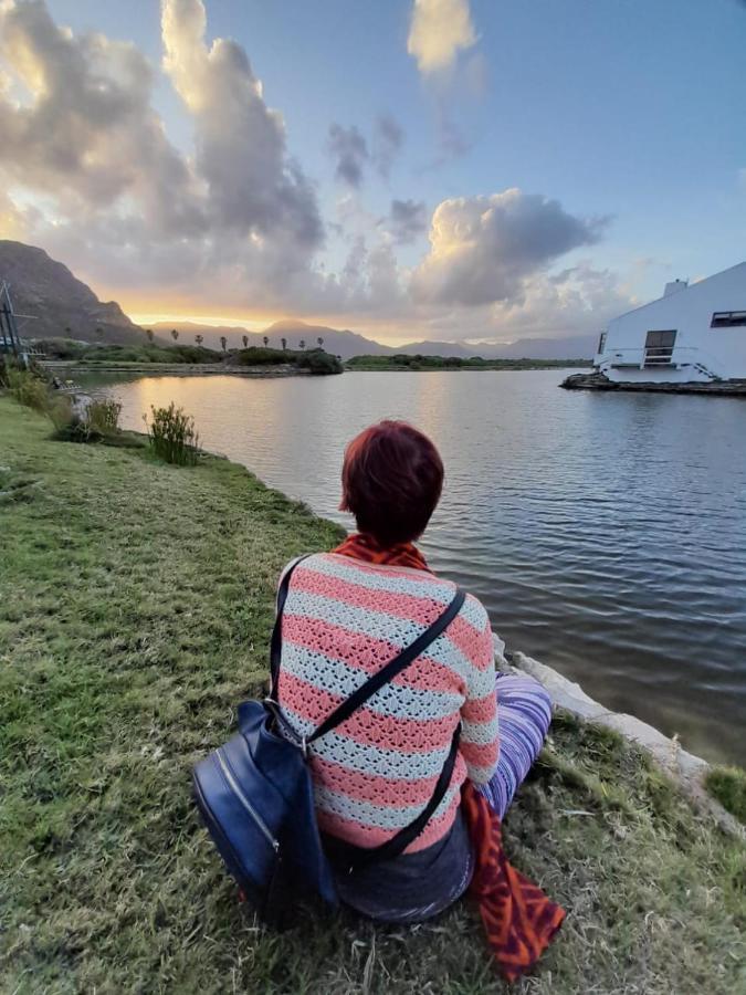 Vlei Cove Guesthouse كيب تاون المظهر الخارجي الصورة