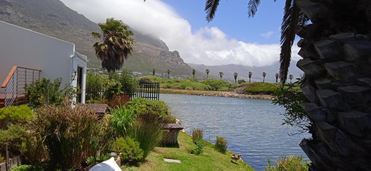 Vlei Cove Guesthouse كيب تاون المظهر الخارجي الصورة