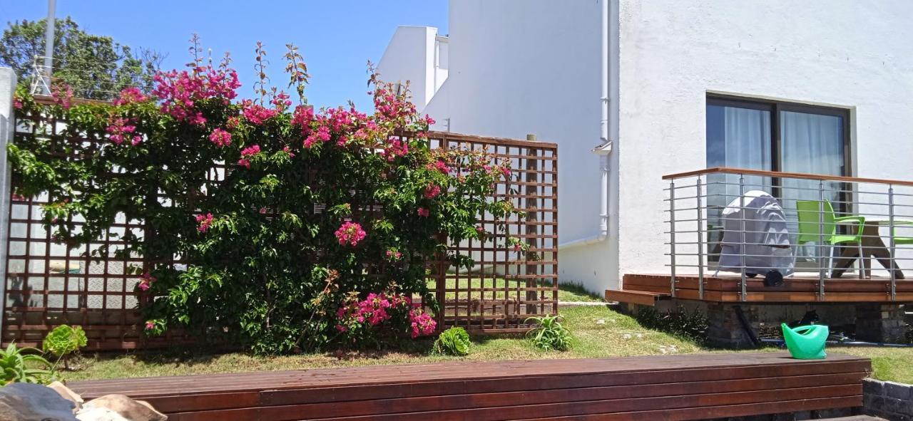 Vlei Cove Guesthouse كيب تاون المظهر الخارجي الصورة